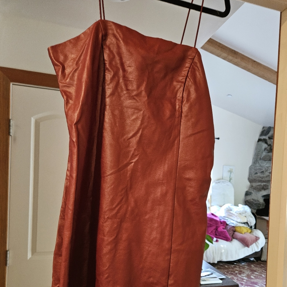 Wild Fable Rust Leather Dress